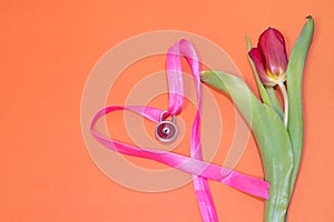 Tulip flower on orange background. Floral banner under the text. Orange background