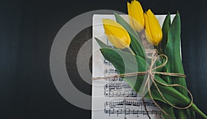 Tulip flower on a sheet of old musical notes on the dlack background