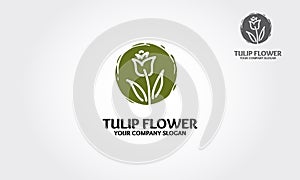 Tulip Flower Vector Logo Template.
