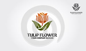 Tulip Flower Vector Logo Template.