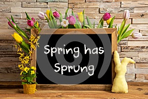 Tulip Flowers, Bunny, Brick Wall, Blackboard, Text Spring Has Sprung photo