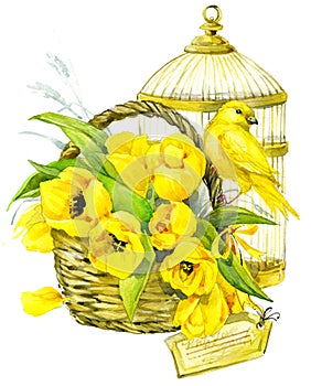 Tulip Flowers, canary bird and decorative birdcage. watercolor