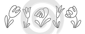 Tulip flowers collection. Doodle style vector black line illustration isolated on white background.