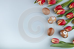 Tulip flowers and easter eggs