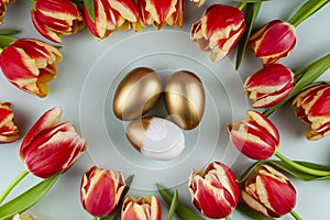 Tulip flowers and easter eggs on green background