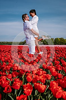 Tulip flowers by the former Island Of Schokland Netherlands, red tulips during Spring season in the Netherlands Europe