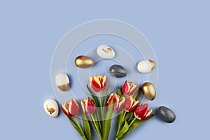 Tulip flowers and golden easter eggs on blue background