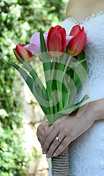 Tulip flowers in lady hands