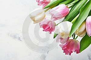Tulip flowers pink and white bouquet on front of white background. Greeting card. With copy space