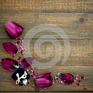 Tulip flowers and ring box isolated on wood background. Flat lay, Top view.