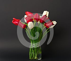 Tulip flowers are in a vase on black background