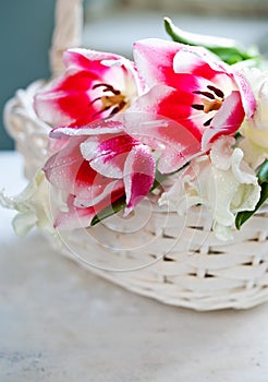 Tulip flowers in white basket