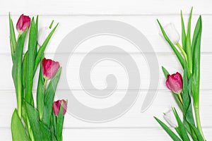 Tulip flowers on white painted wooden boards. Floral spring frame background