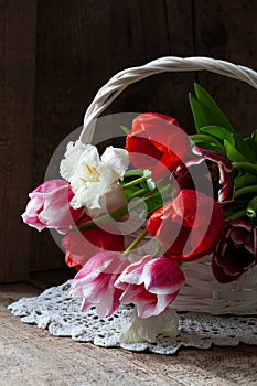 Tulip flowers in wooden background