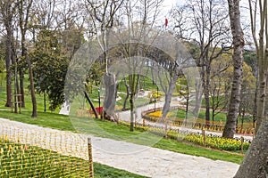 Tulip Garden in Emirgan Woods, 2019- March 31, Istanbul, Turkey