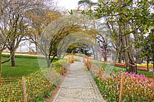 Tulip Garden in Emirgan Woods, 2019- March 31, Istanbul, Turkey