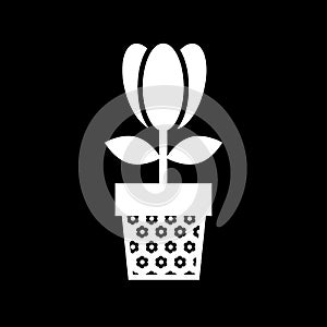 Tulip Icon. Tulip silhouette. Vector icon. Solid design. Eps 10