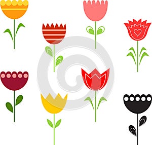 Tulip Illustrations