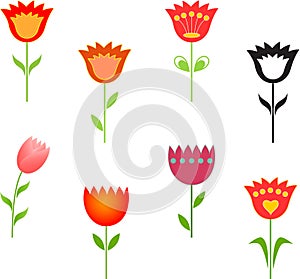 Tulip Illustrations, Flowers Illustrations