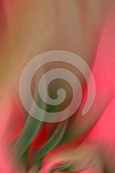 Tulip Petals with green leaves abstract blur
