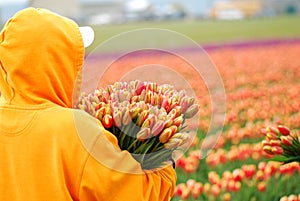 Tulip picker