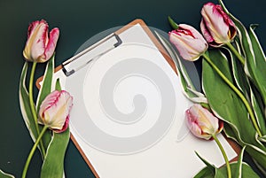 Tulip Pink flower Bouquet and Blank White Paper Card on adark Blue Background with Copy space. Flat Lay.