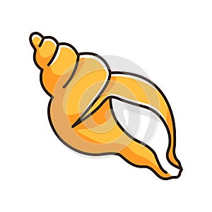 Tulip shell orange RGB color icon