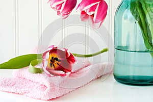 Tulip and towel