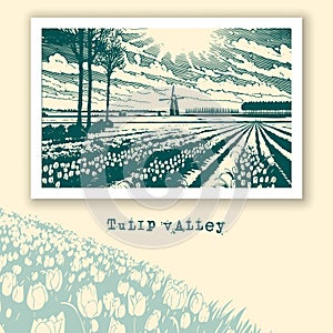 Tulip Valley with Dutch landscape, monochrome retro style. Vector spring banner with tulip fields and a landscape with a windmill