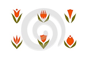 Tulip vector logo mark template or icon. Set of elegant design elements with ornamental flowers