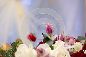 Tulip in a wedding bouquet