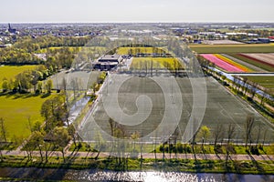 Tulipfields in full blossom from above in Holland next to a soccer field