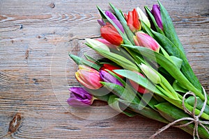 Tulips