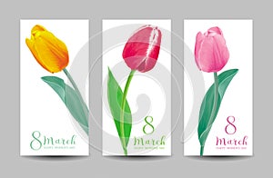 Tulips for 8 March vector greeting card set