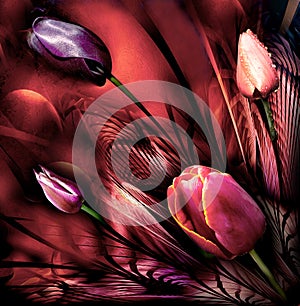 Tulips abstrackt