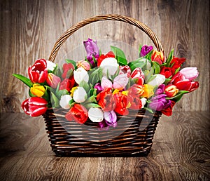 Tulips in the basket