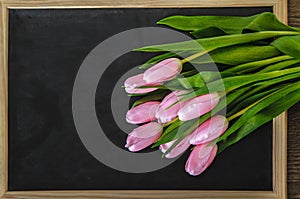 Tulips on the blackboard