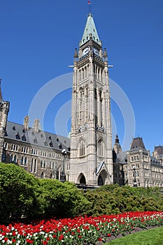 Tulips in bloom under Peace Tower