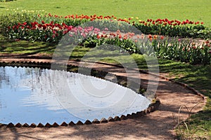Tulips Blooming by Pond at Monticello