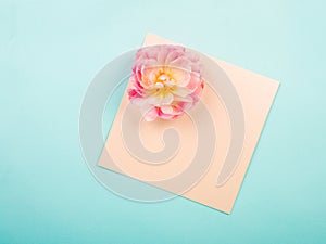 Tulips on a blue textural background with a letter envelope. Flat lay, copy space, top view. Flowers composition