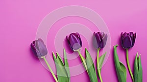 Tulips border with copy space on a colored background. Beautiful frame composition of spring flowers. Generative AI