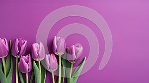 Tulips border with copy space on a colored background. Beautiful frame composition of spring flowers. Generative AI