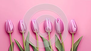 Tulips border with copy space on a colored background. Beautiful frame composition of spring flowers. Generative AI