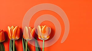 Tulips border with copy space on a colored background. Beautiful frame composition of spring flowers. Generative AI