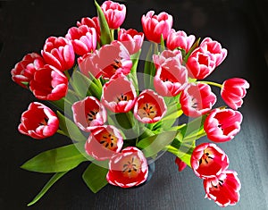 Tulips bouquet