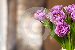 Tulips bouquet on blurry background, beautiful pink spring flowers delivery for gift, violet purple bunch romantic present from