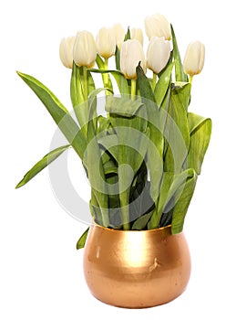 Tulips bouquet in golden vase