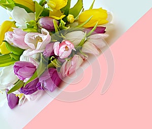 Tulips Bouquet of pink yellow lilac abstract white blue festive holiday background Concept for Valentine`s Day, Women  day ,Wedd