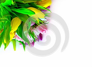 Tulips Bouquet pink  yellow living coral  hearts Concept for Valentine`s Day, womens day ,Wedding , lettering best wishes Top view