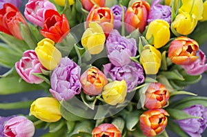 Tulips bouquet from top